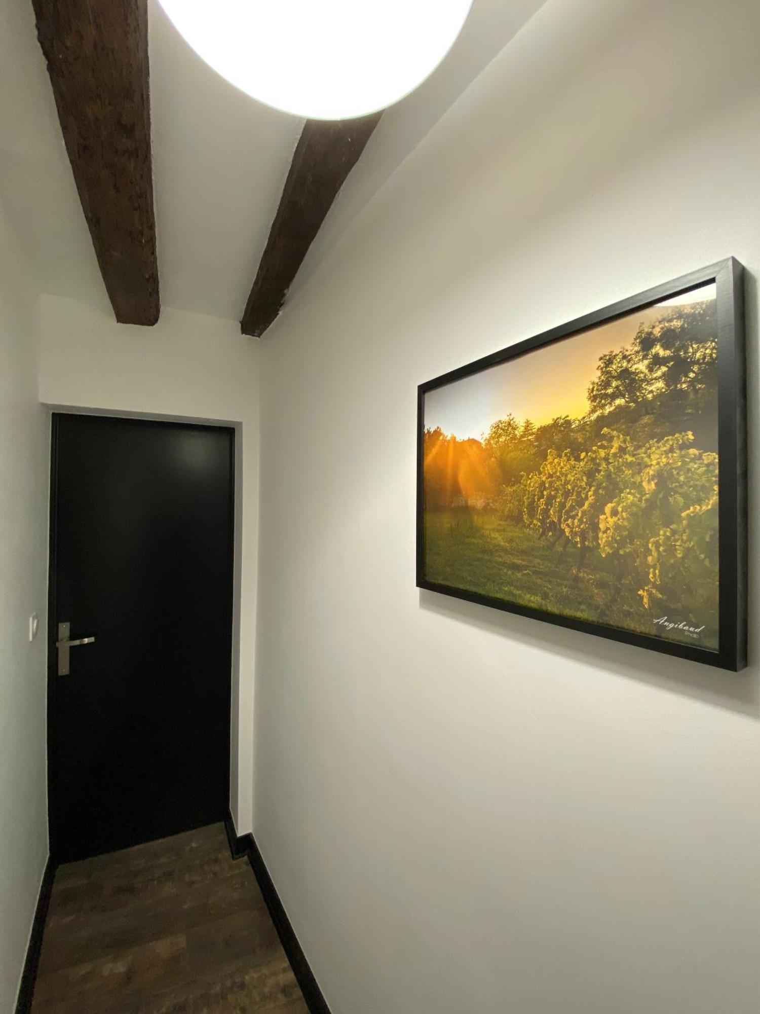 La Propriete de Bacchus Apartment Saumur Cameră foto