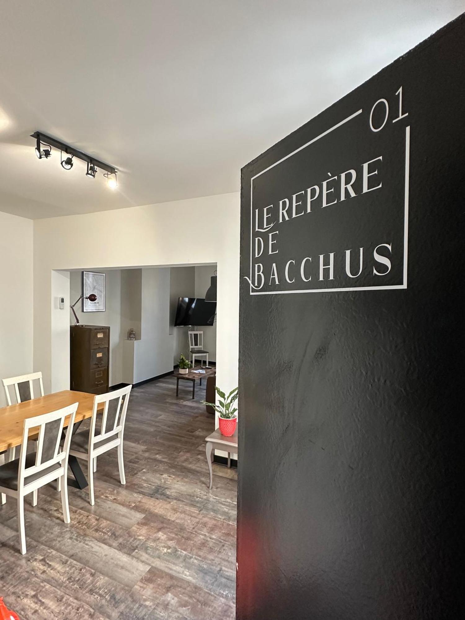 La Propriete de Bacchus Apartment Saumur Exterior foto